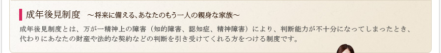 成年後見制度